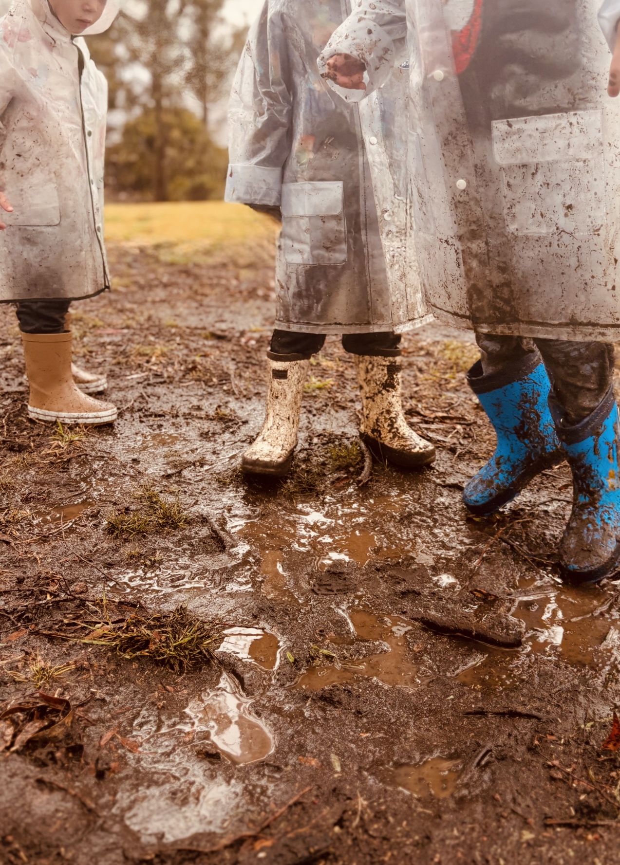 Mulberry Kids FDC's image