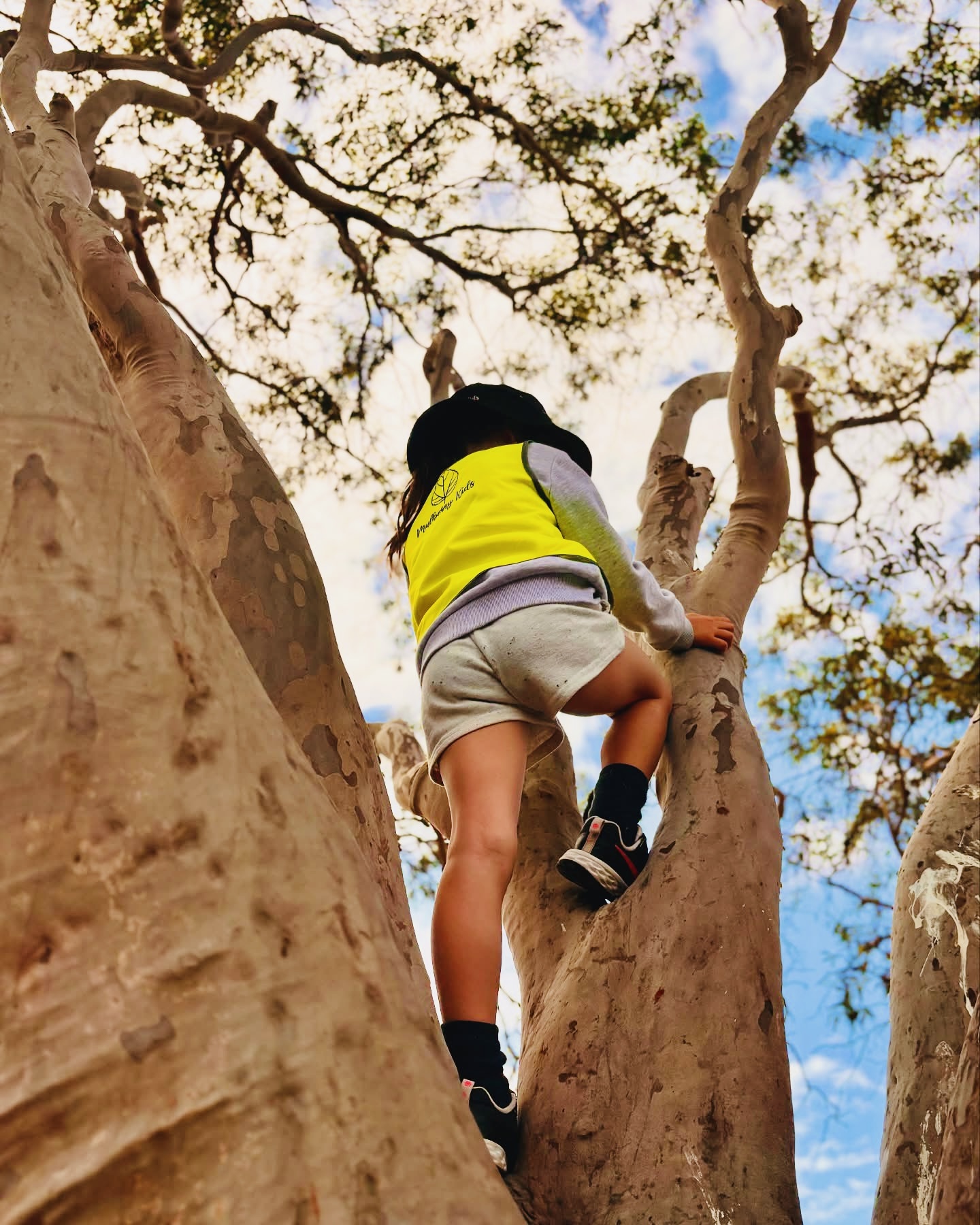 Mulberry Kids FDC's image