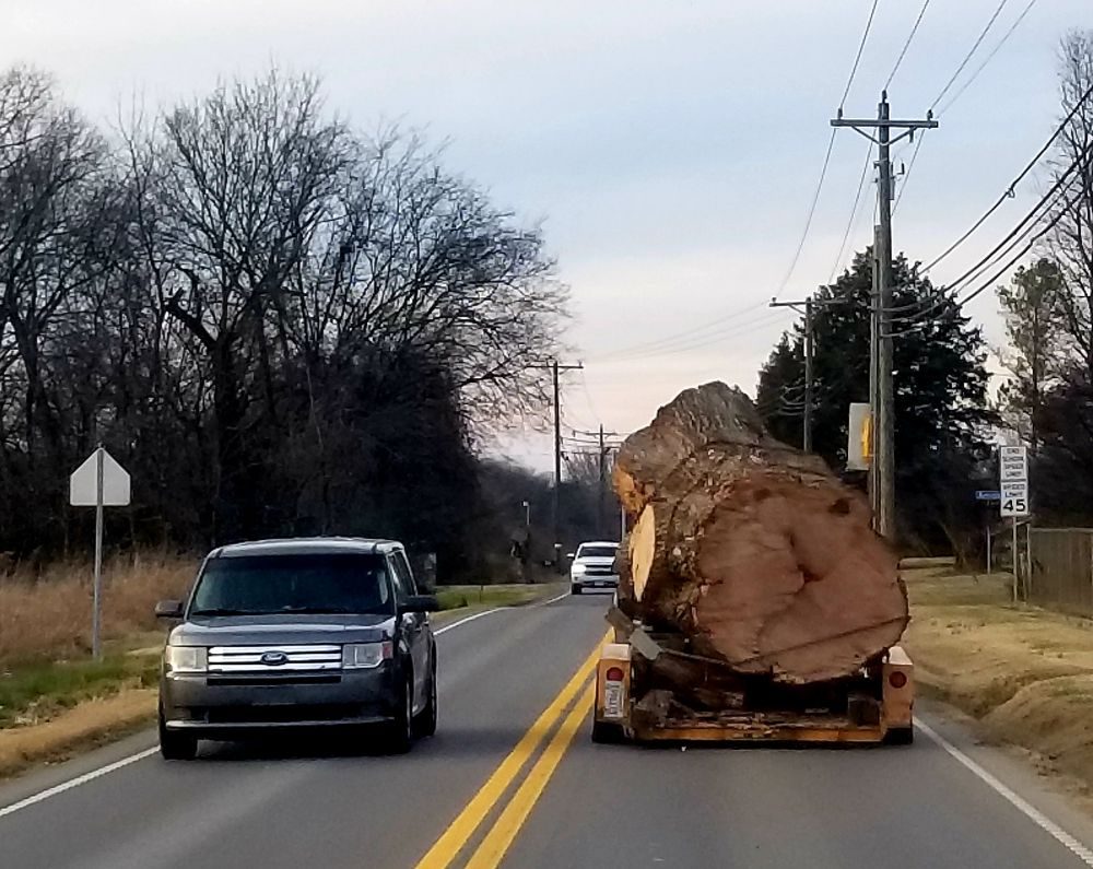 Middle Tennessee Tree Service's image