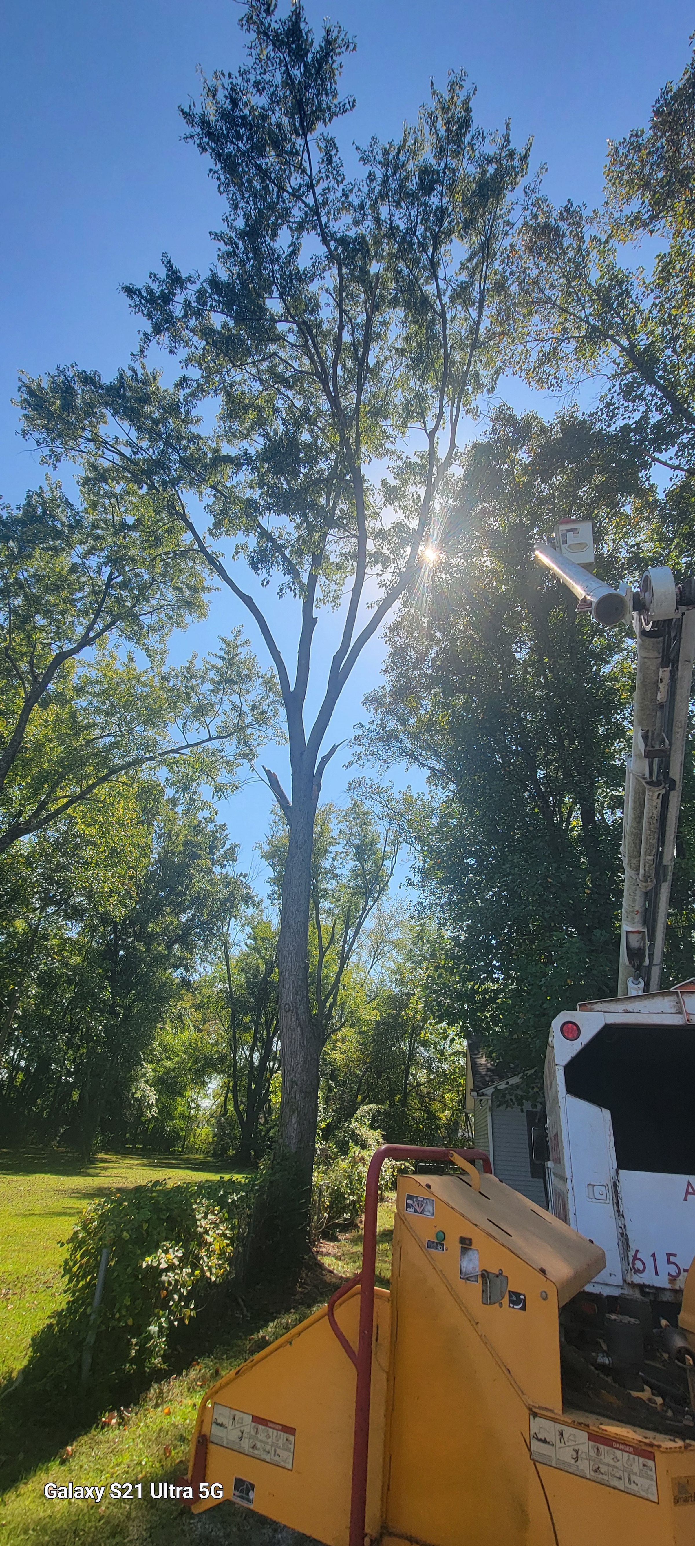 Middle Tennessee Tree Service's image