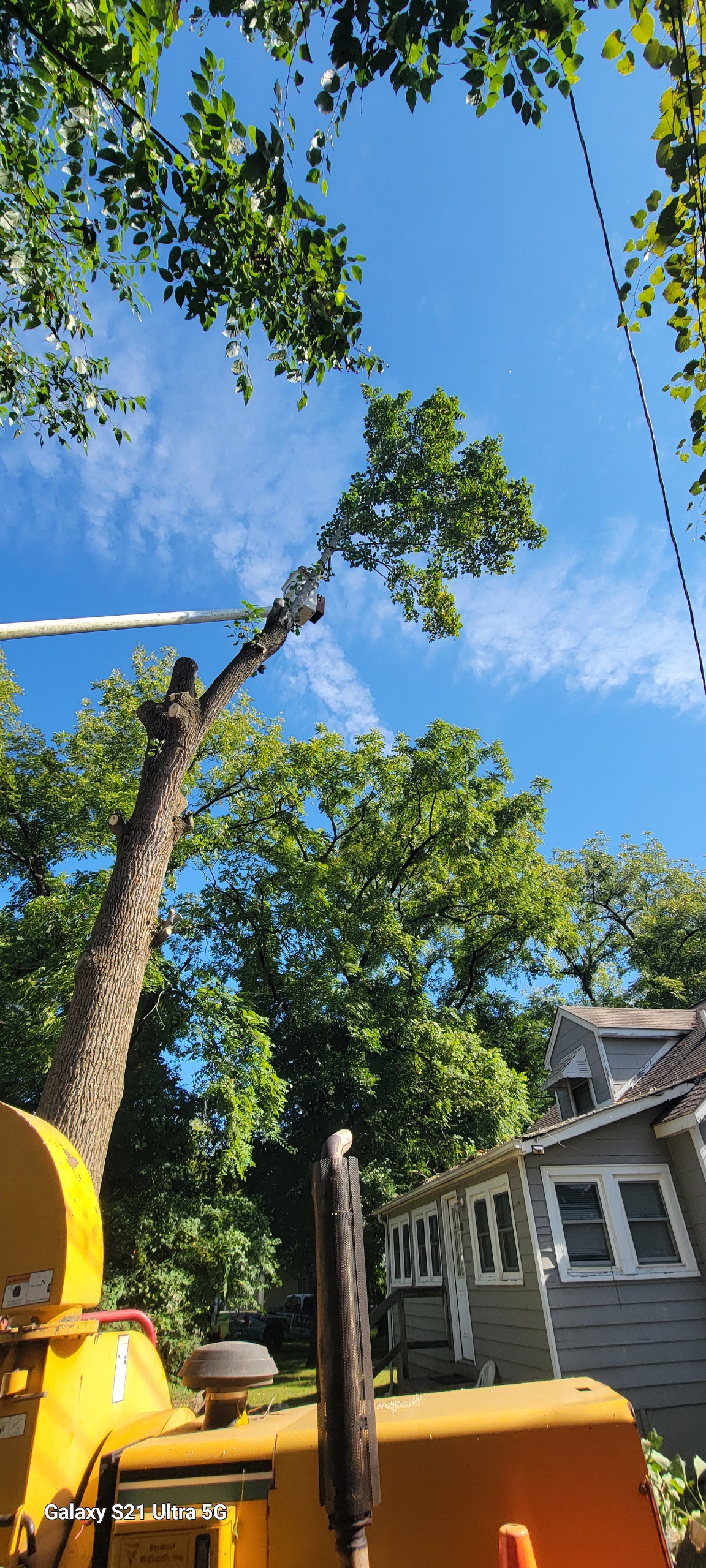 Middle Tennessee Tree Service's image