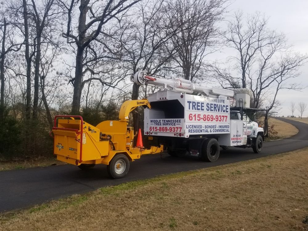 Middle Tennessee Tree Service's image