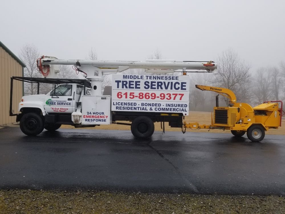 Middle Tennessee Tree Service's image