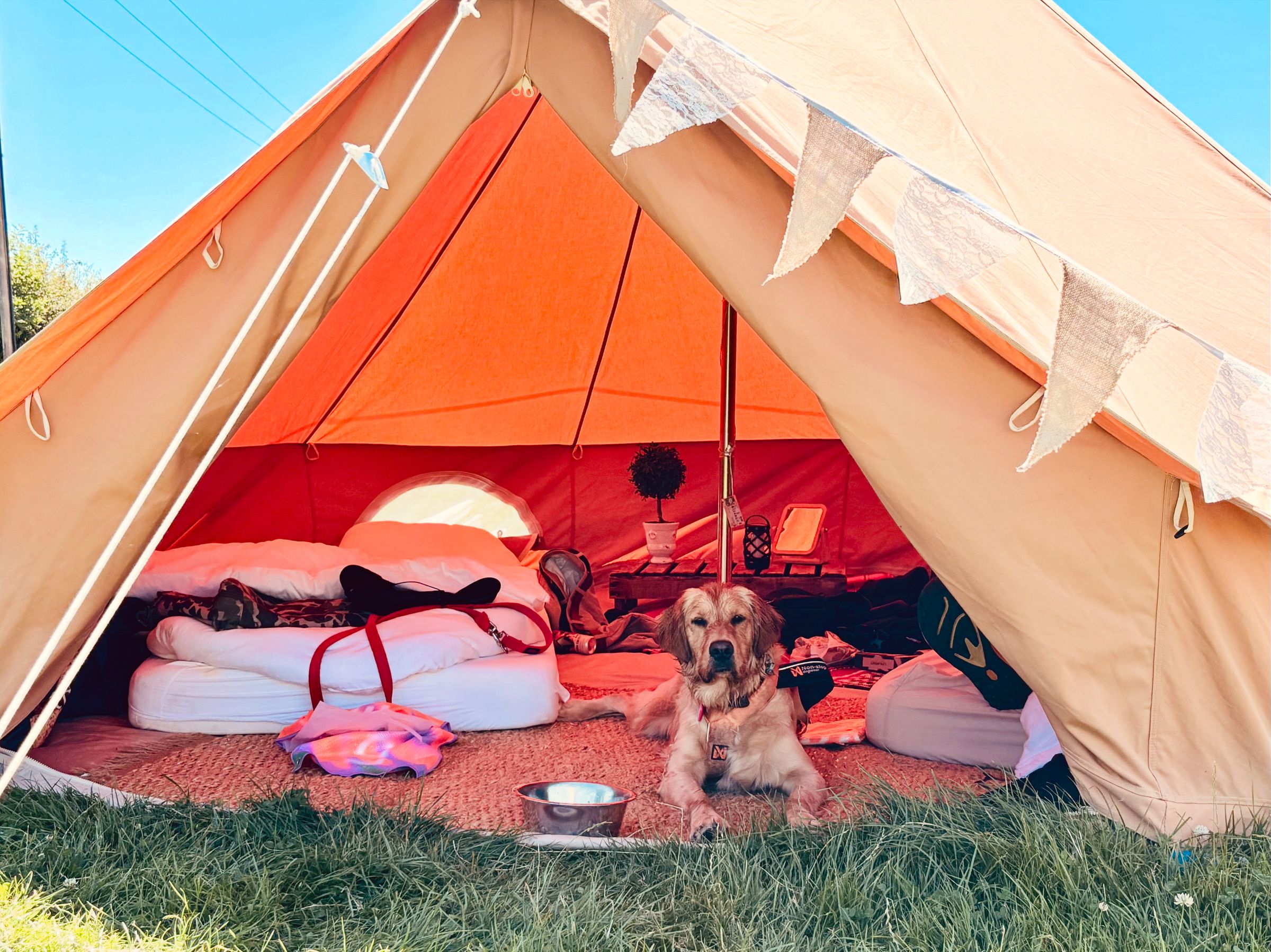 Canvas Co - Algarve 's image