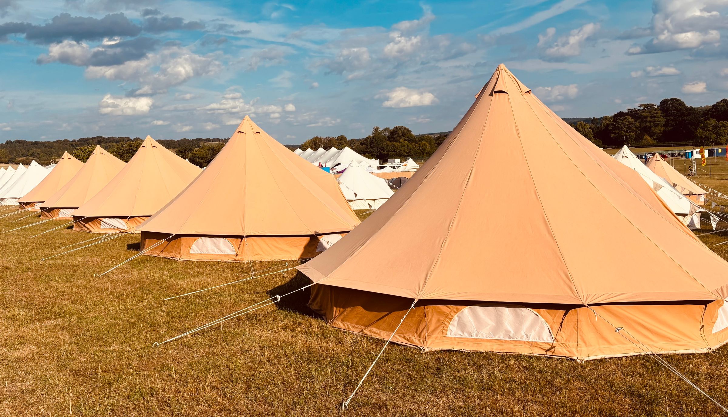 Canvas Co - Algarve 's image