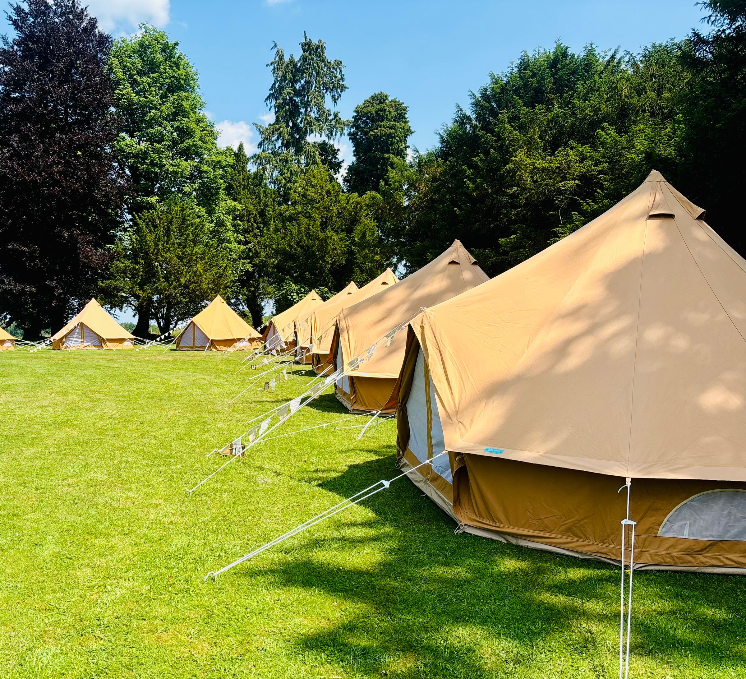 Canvas Co - Algarve 's image