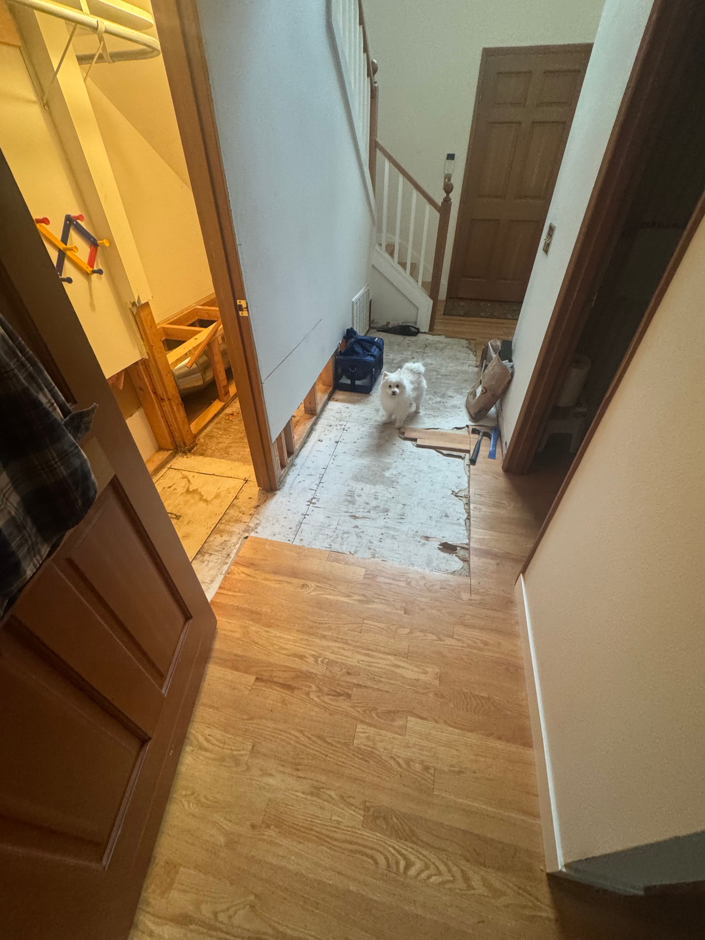 Bothell Water Damage Restoration-24/7 Emergency Services's image