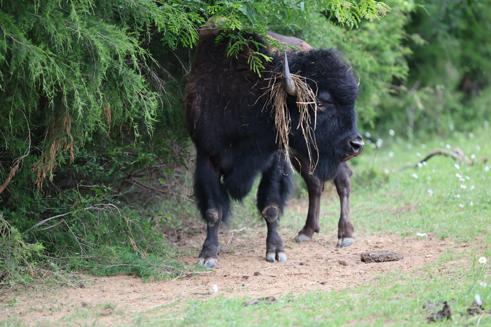 MayDay Farms's image