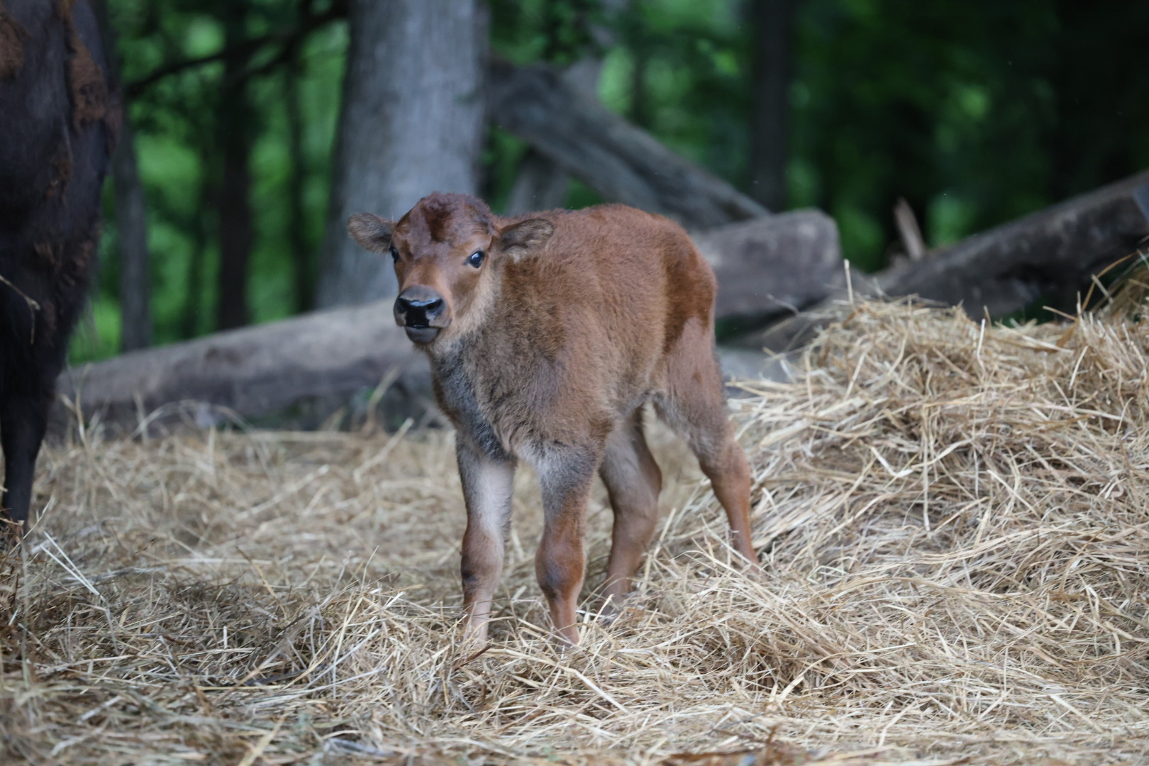 MayDay Farms's image