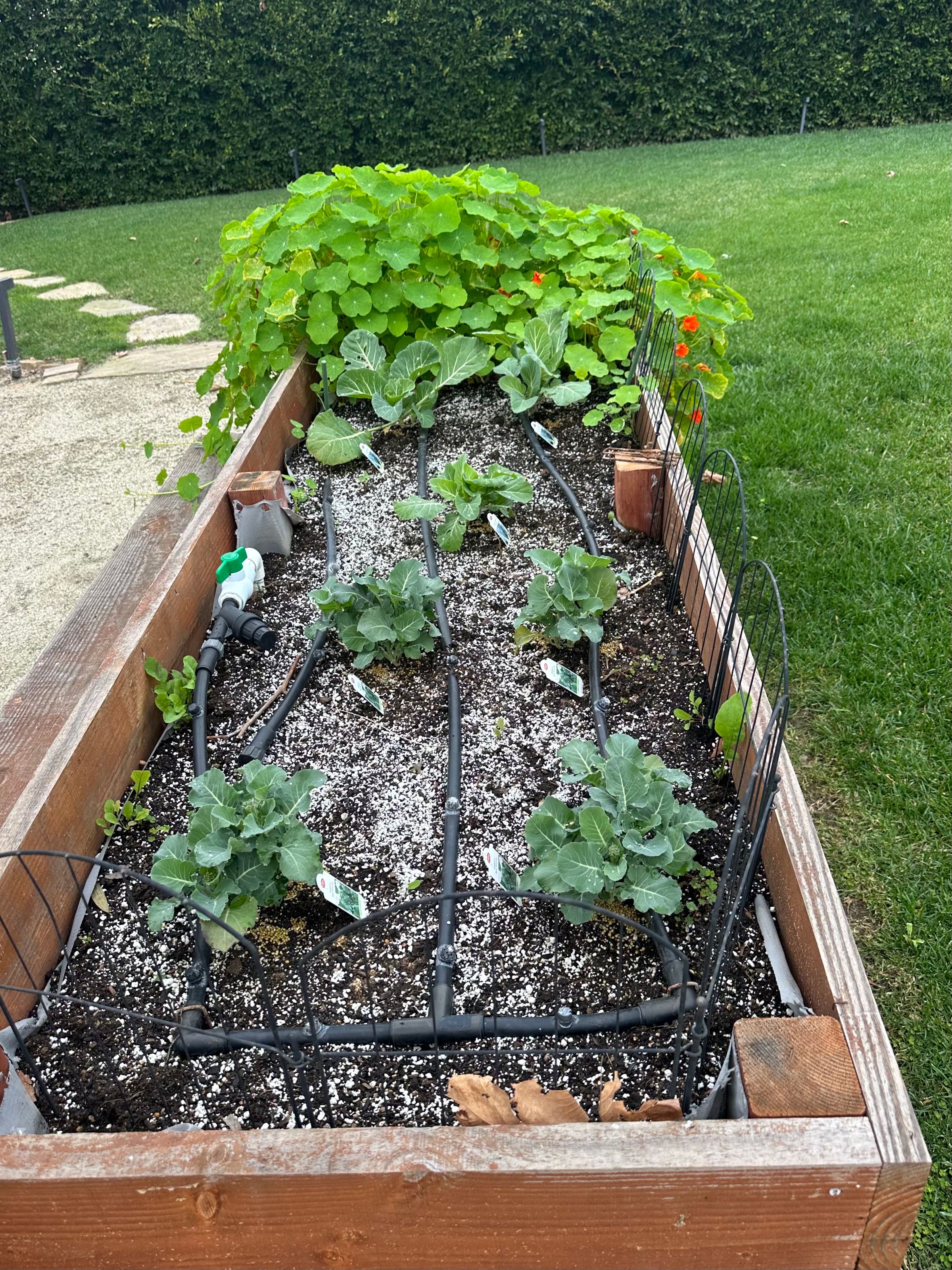 San Diego Food Forest 's image