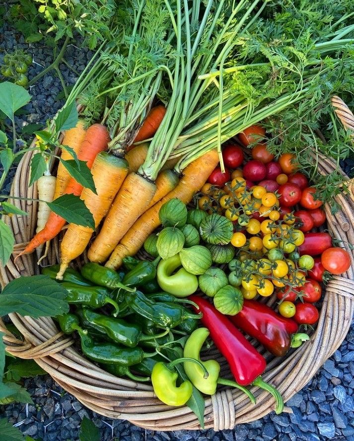 San Diego Food Forest 's image