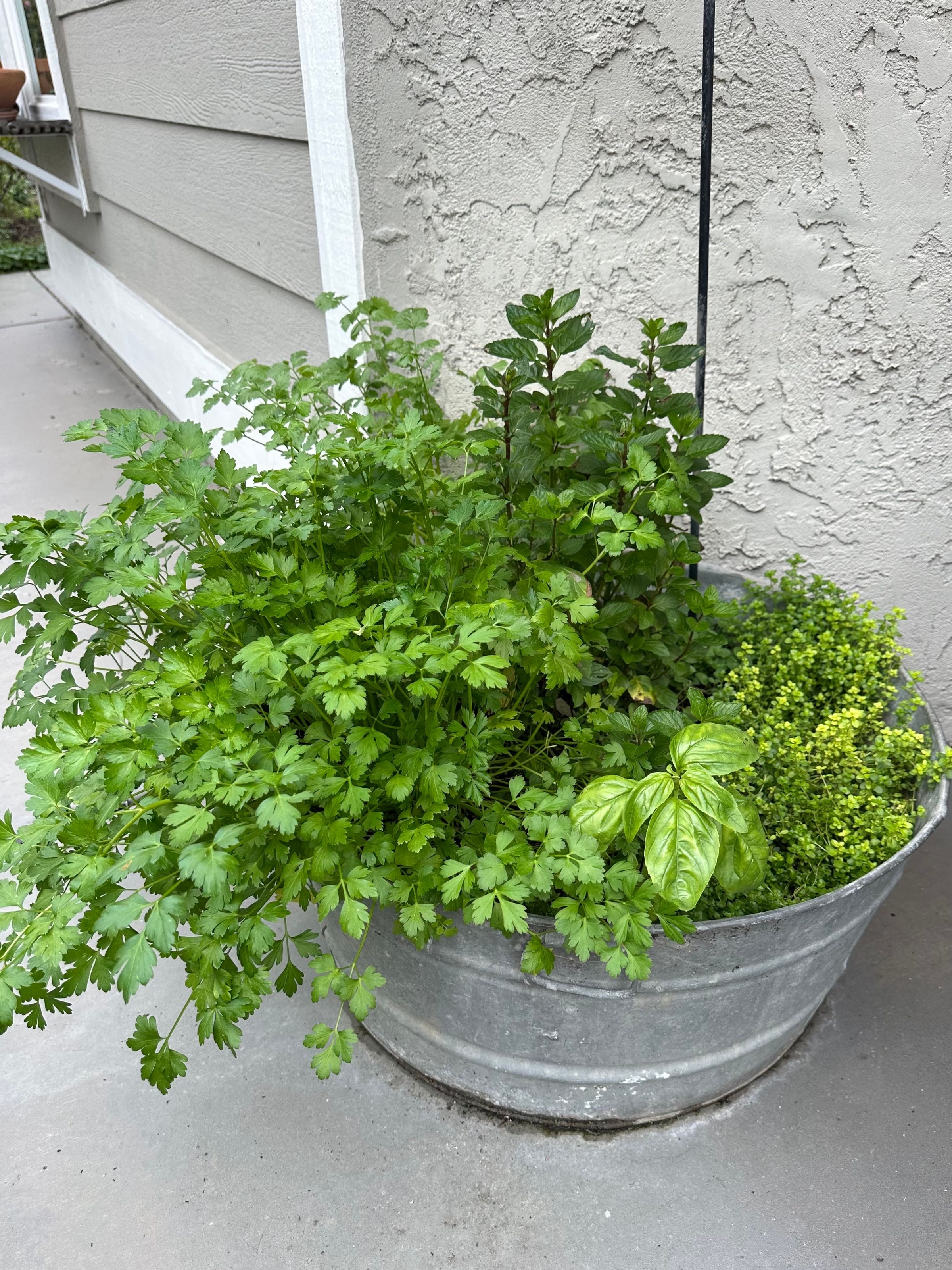 San Diego Food Forest 's image