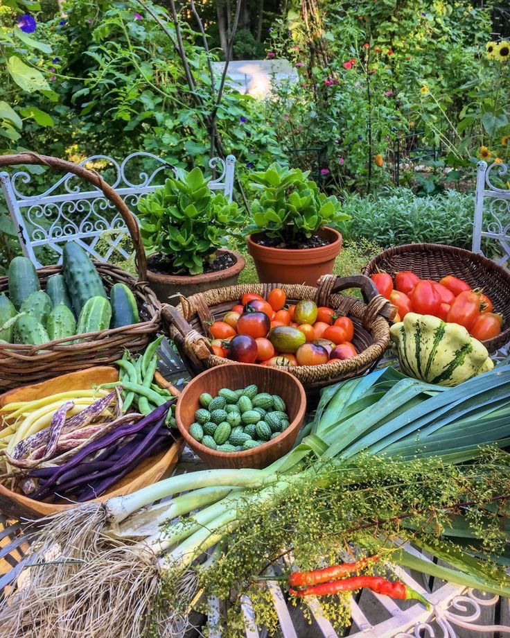 San Diego Food Forest 's image