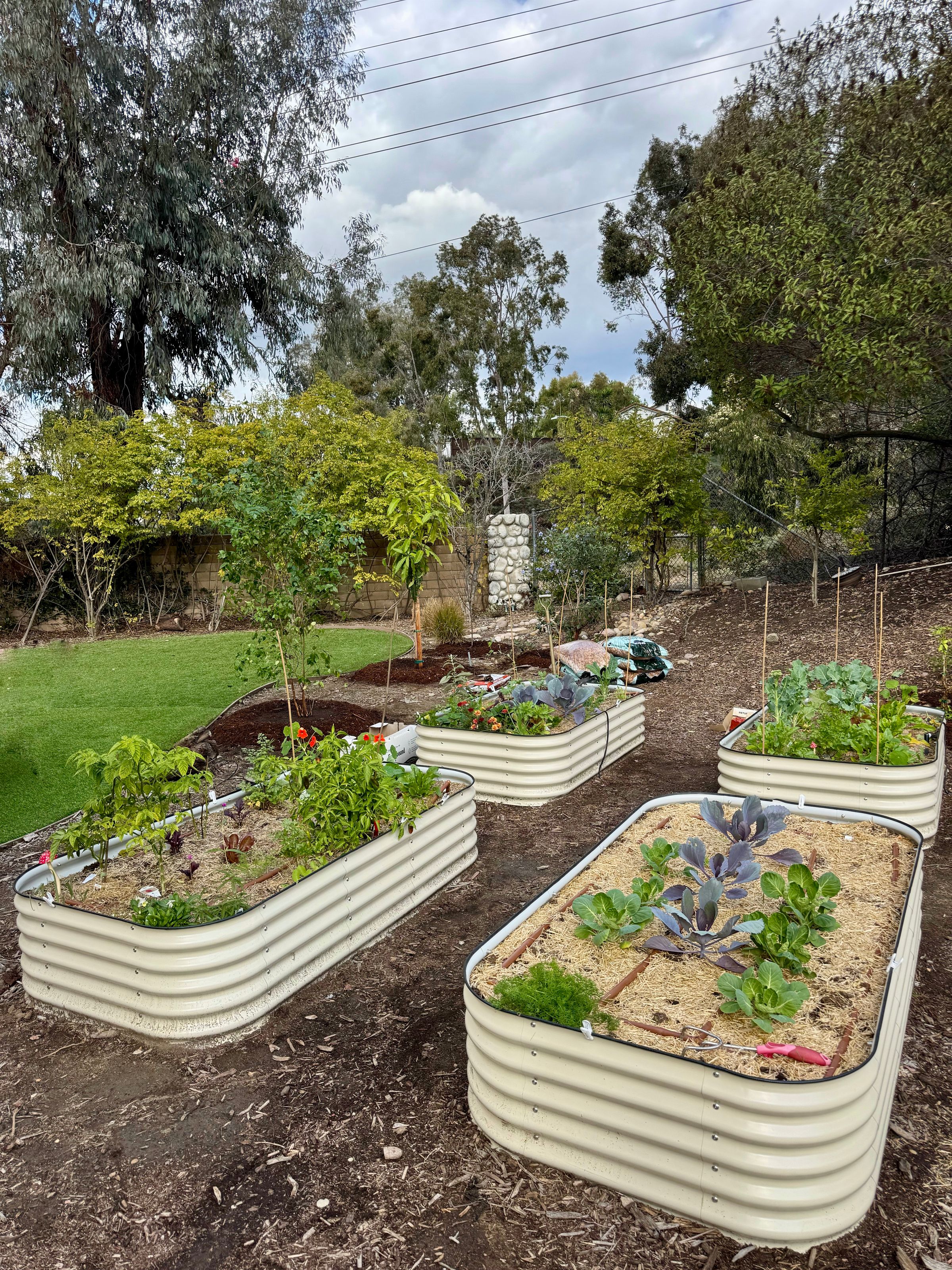 San Diego Food Forest 's image