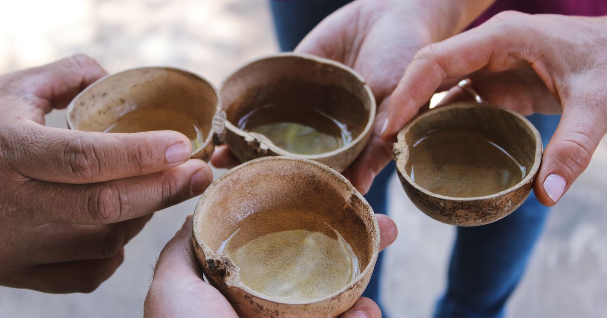 tours alexein's image