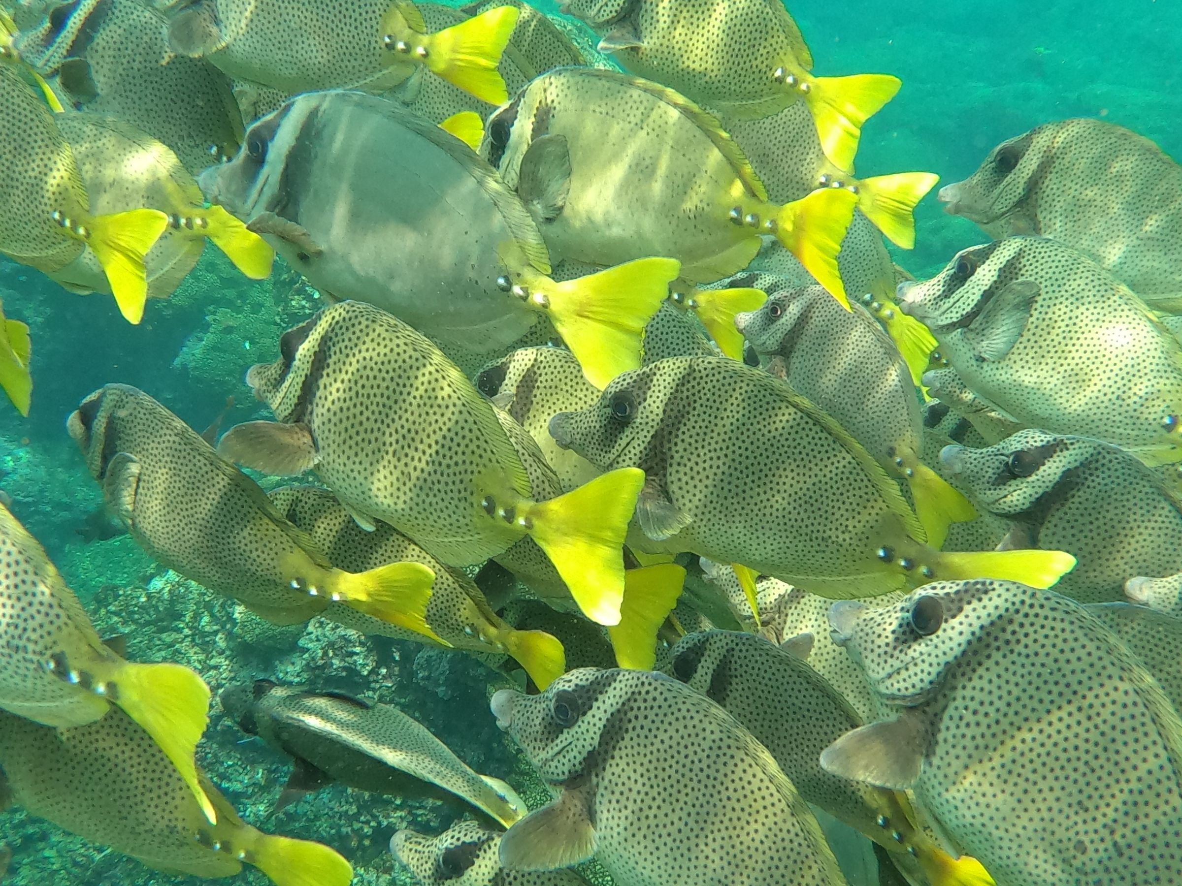 tours alexein's image