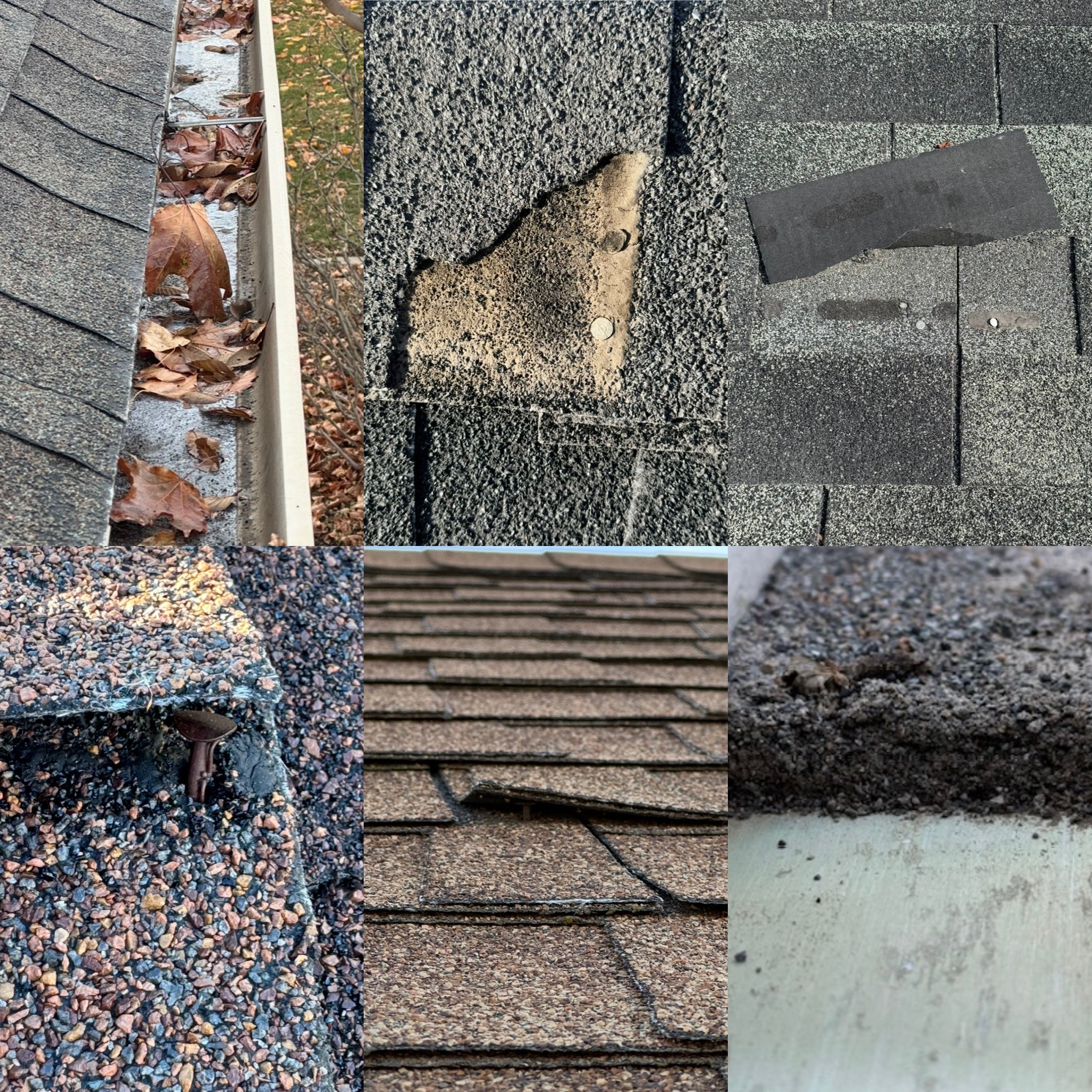 ReNu Roofing's image