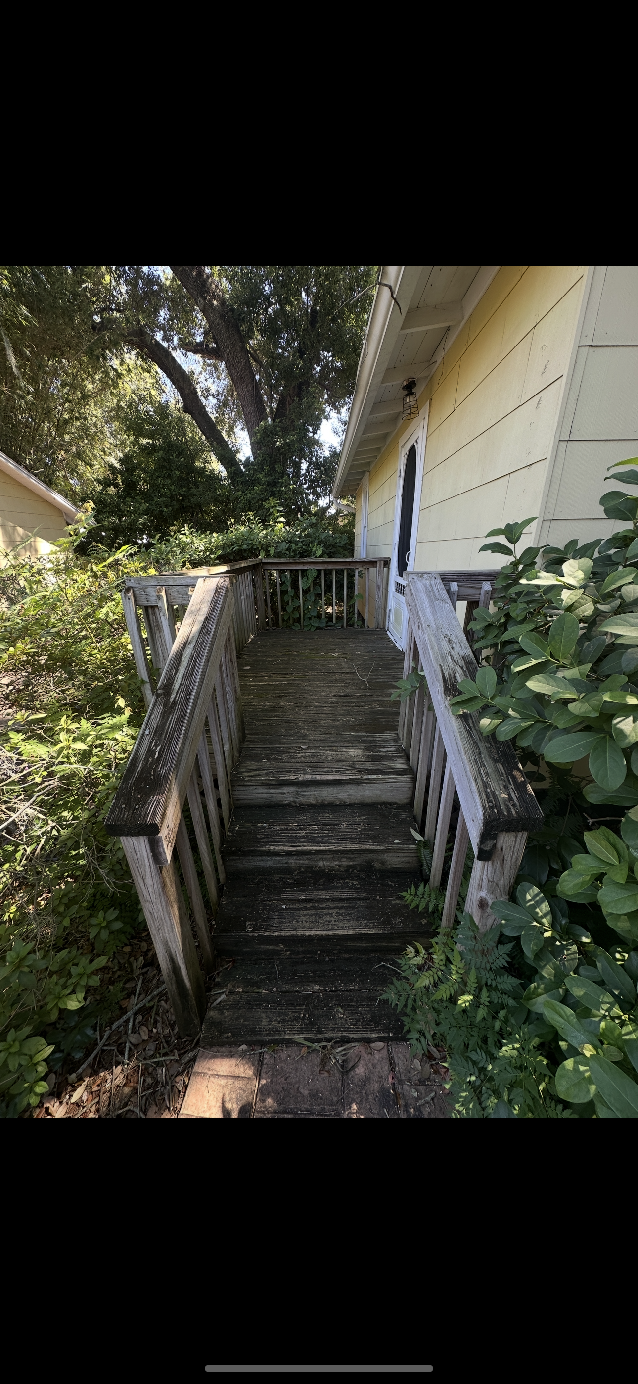 Startzer Services LLC's image