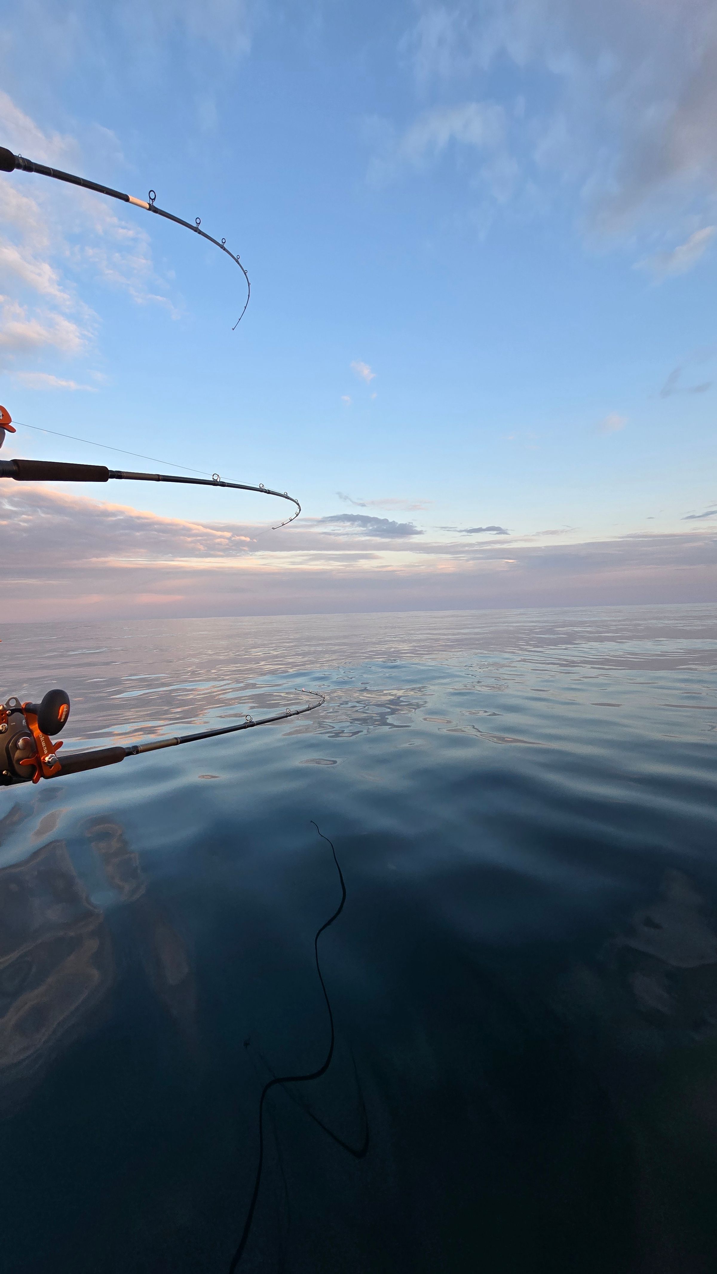 Arcadia fishing charter MKE's image