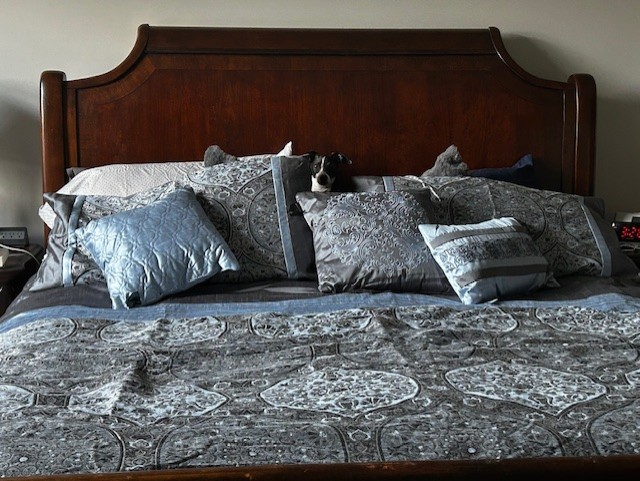 The Bark-yard B&B's image