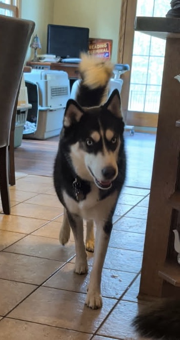 The Bark-yard B&B's image