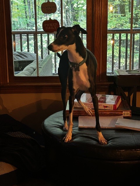 The Bark-yard B&B's image