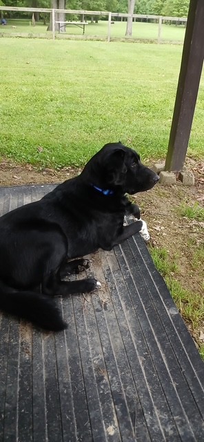 The Bark-yard B&B's image