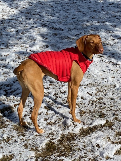 The Bark-yard B&B's image