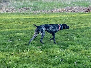 The Bark-yard B&B's image