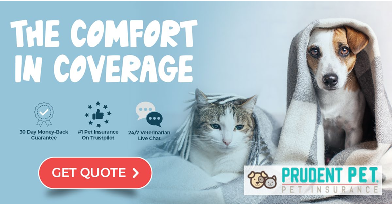Prudent Pet Insurance