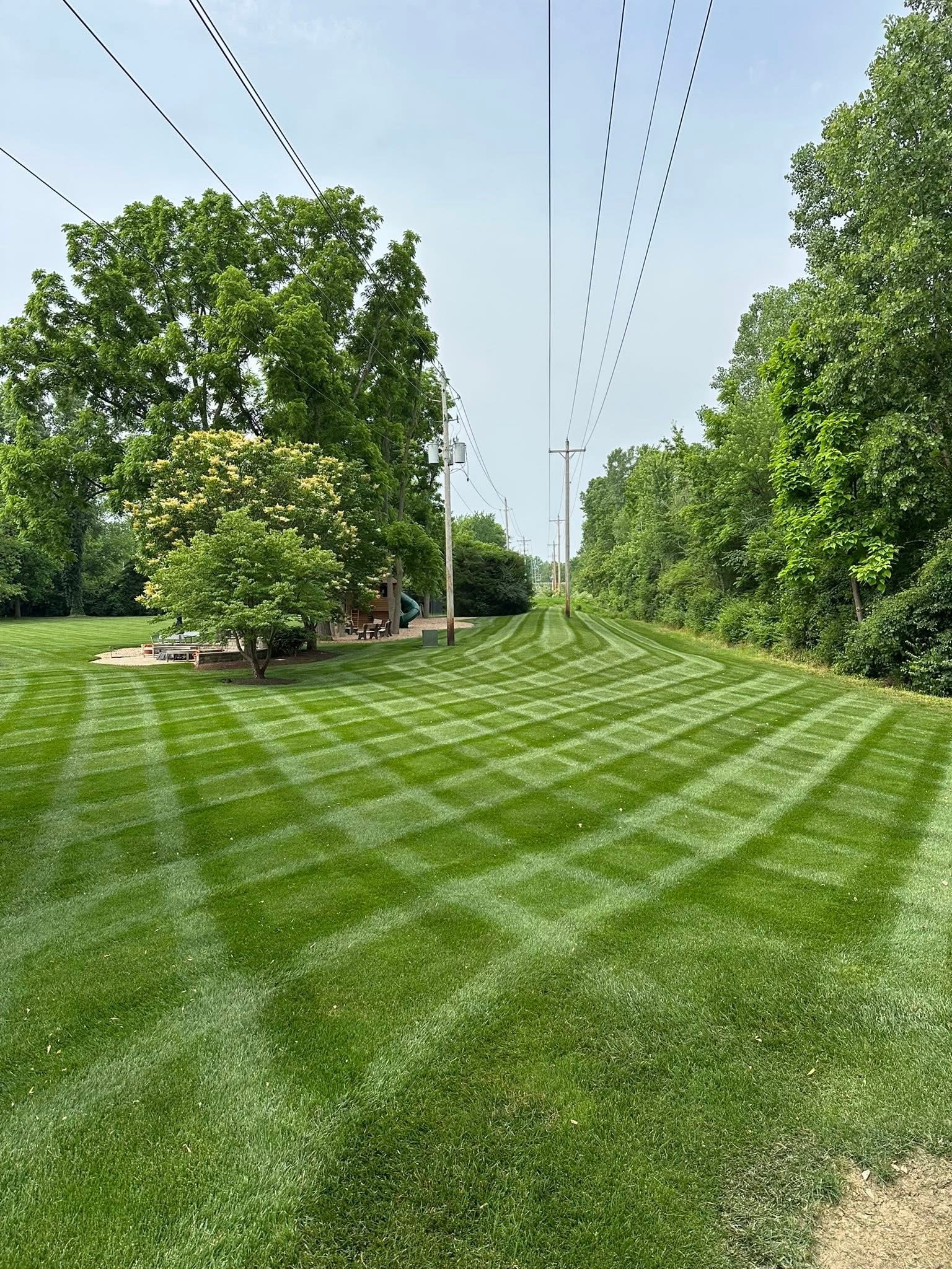 Trinity grounds maintenance's image