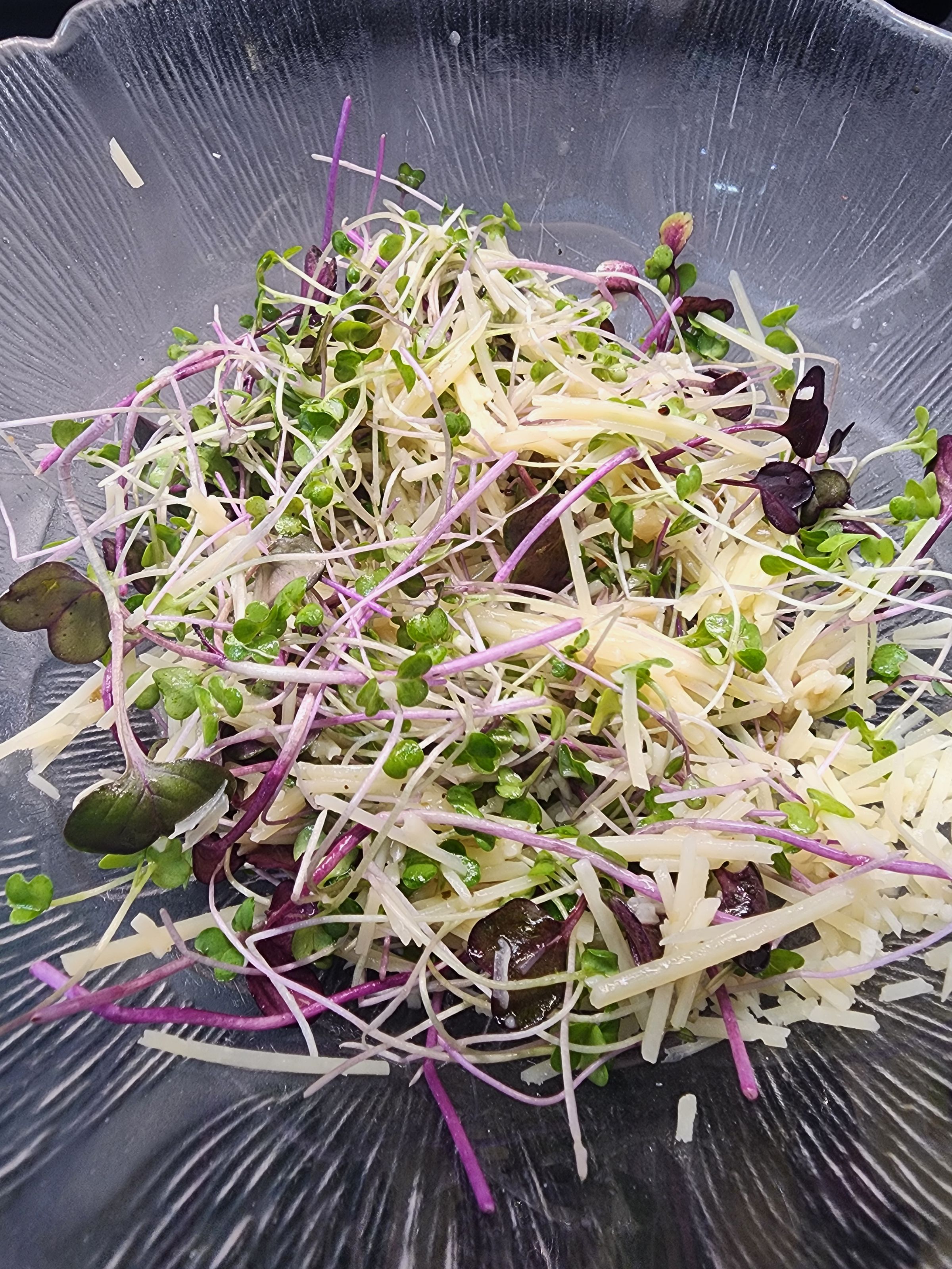 THE MIGHTY SPROUT CO.'s image