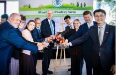 M&M Projects Management's image