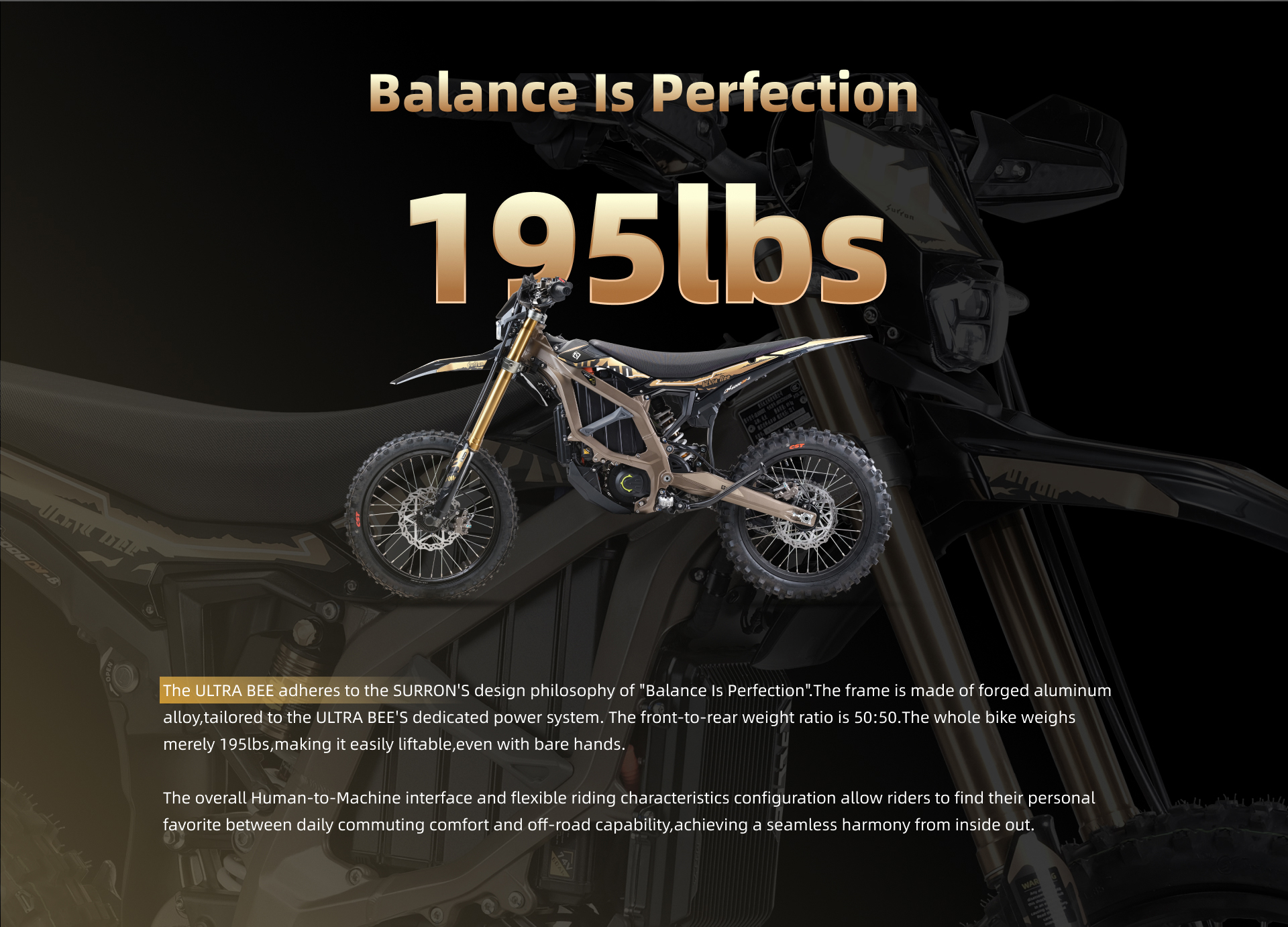 race day e-bikes's image