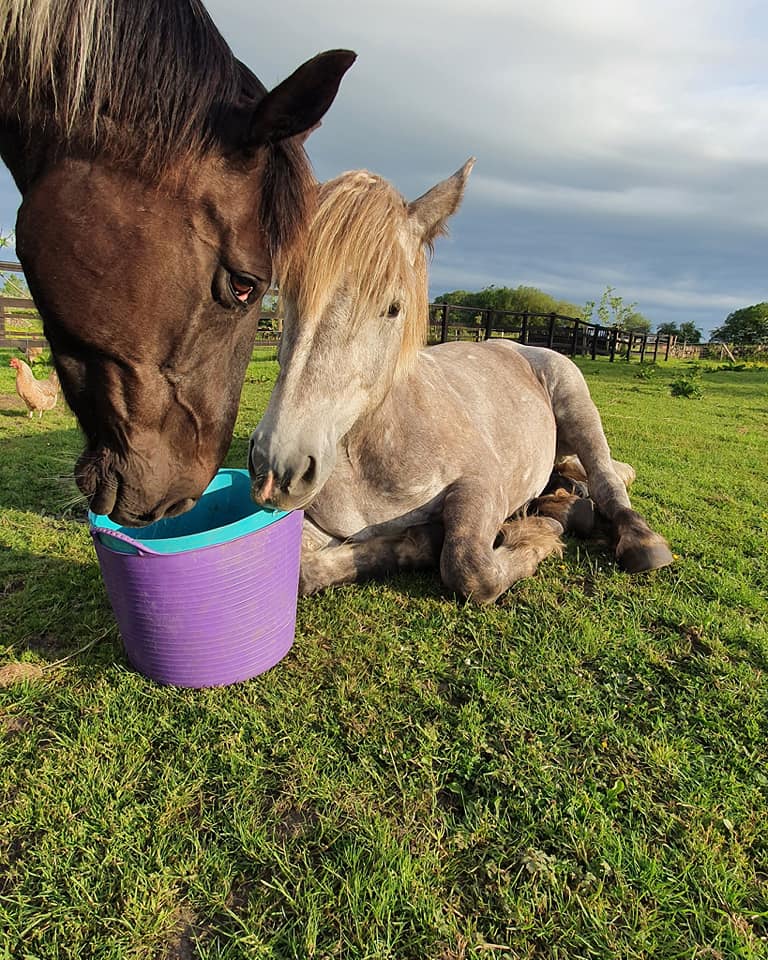 Lenny taking the best care of Baby Koogee