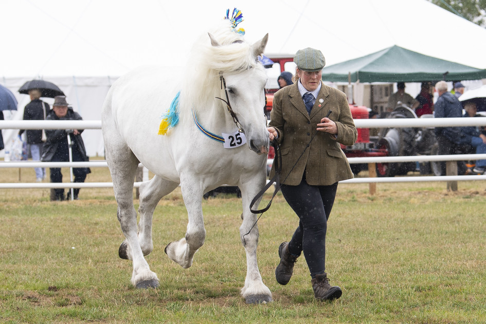 Josie and KoogeeBoogie Swishing that mane at Alrewas 2025