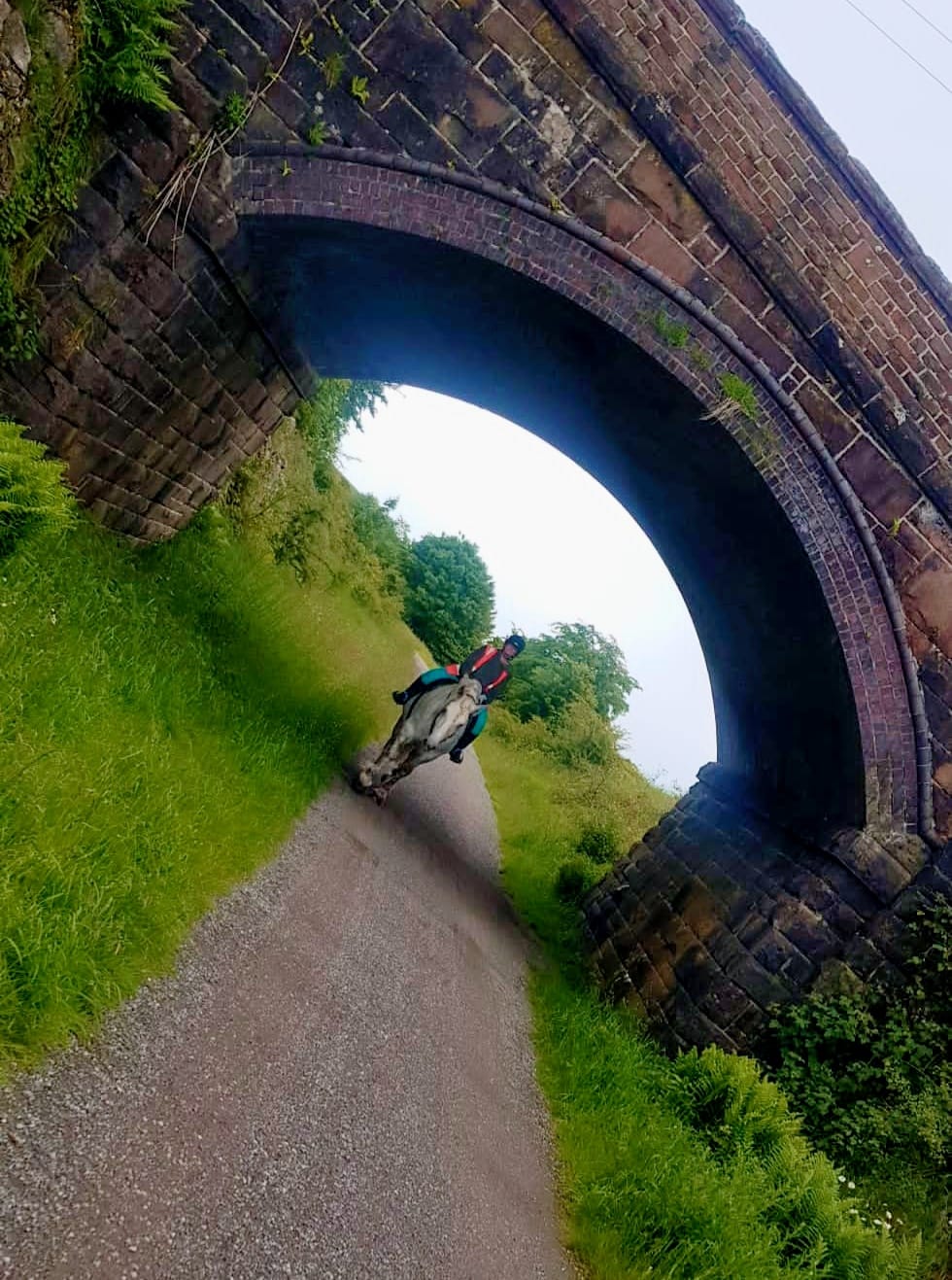 Josie and Koogee in the Peak District