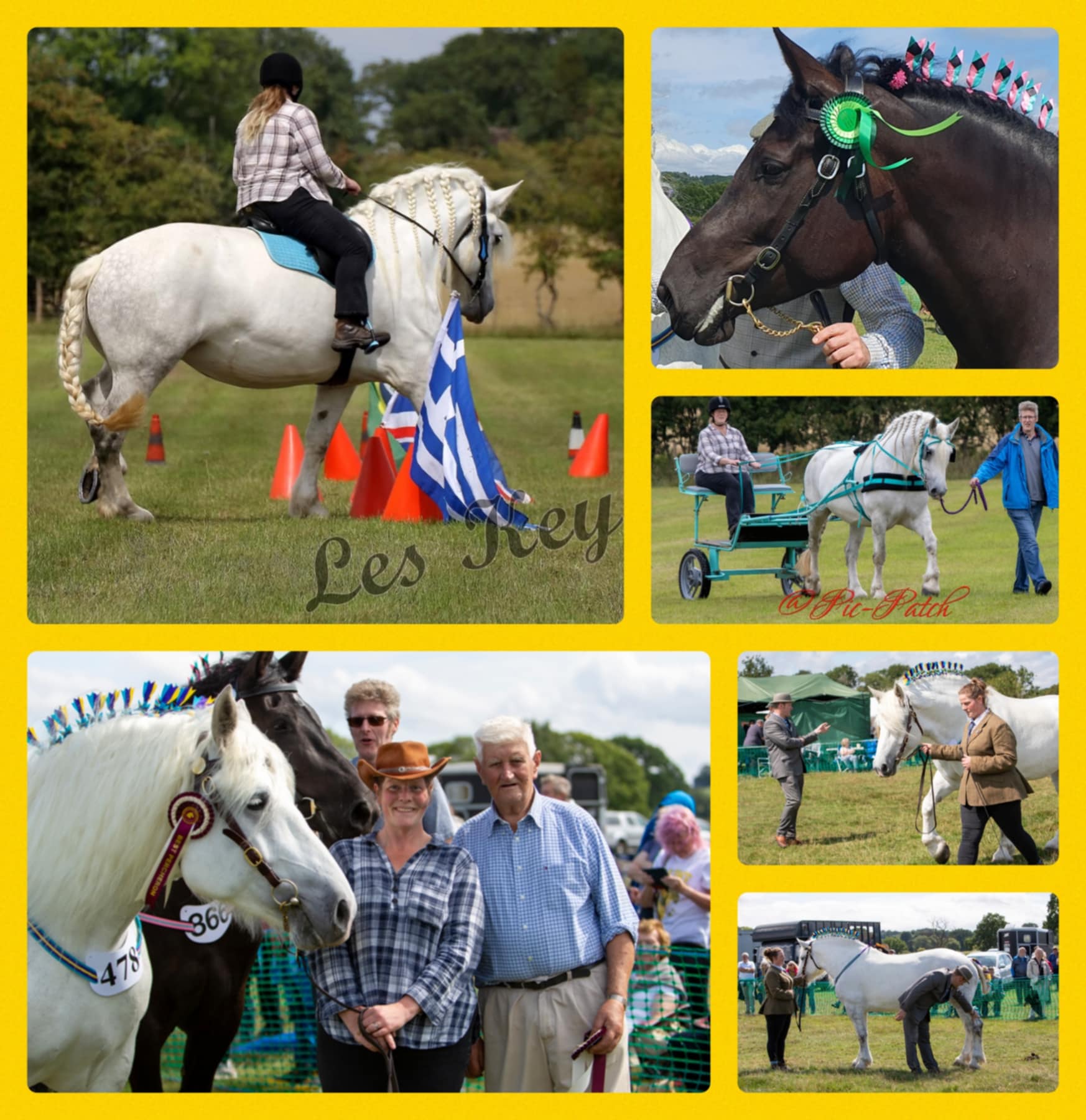 MHHA Working Weekend & Derby Shire Show 