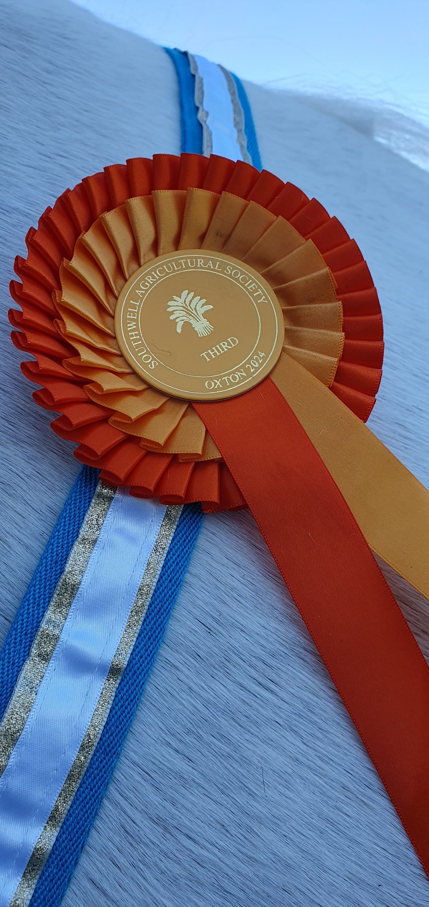 Pretty Ribbons