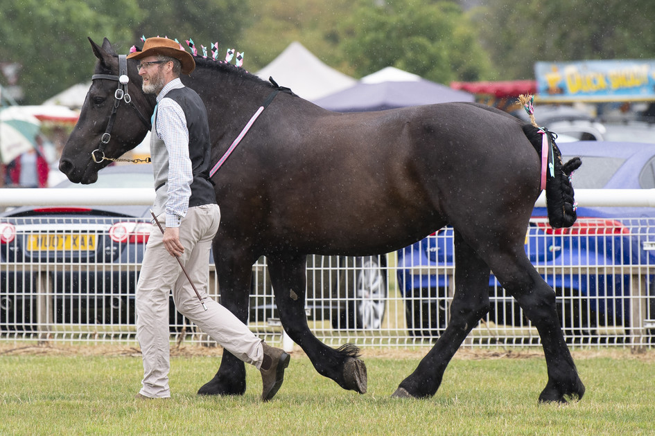Andy and Olivia going nicely at Alrewas Show 2025