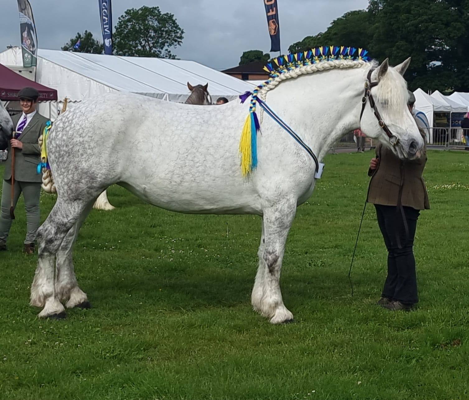 Staffordshire County Show 2025