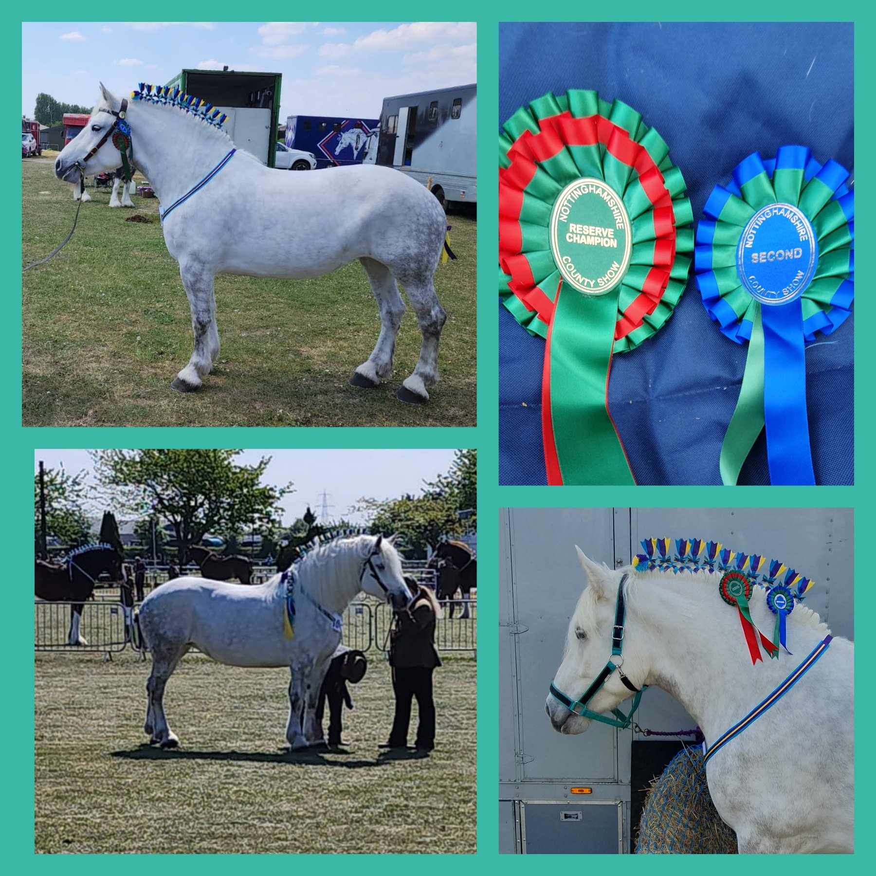 Nottingham County Show 2025