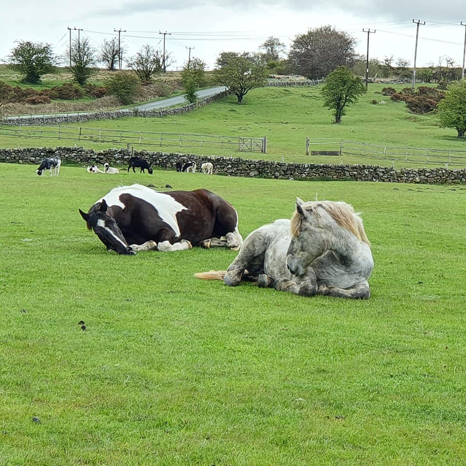 Snoozy Time