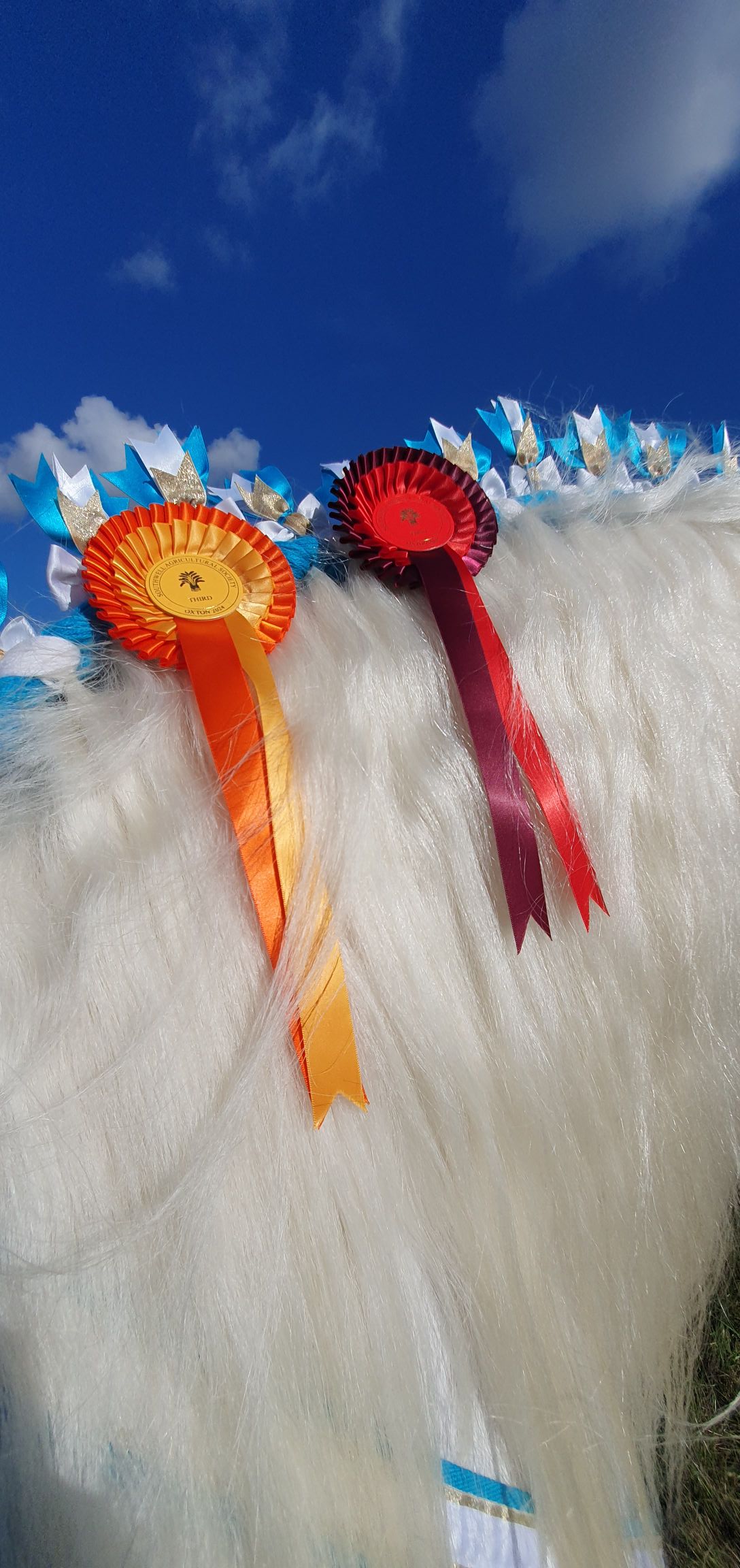 Pretty Ribbons
