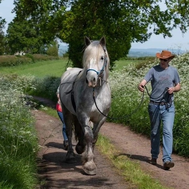 Koogee Long Reining at Holbeache MHHA