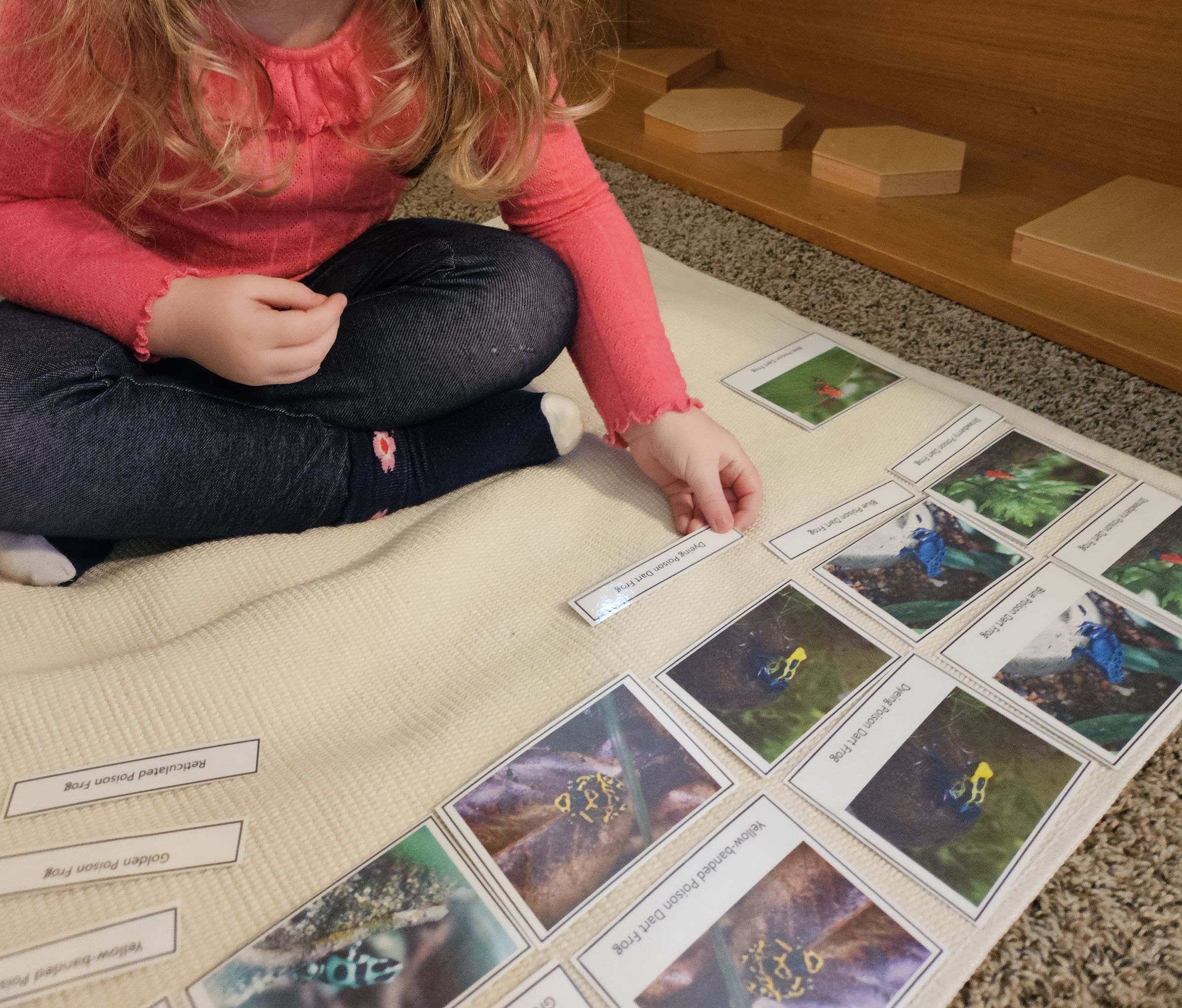 Private Montessori School's image