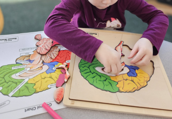 Private Montessori School's image