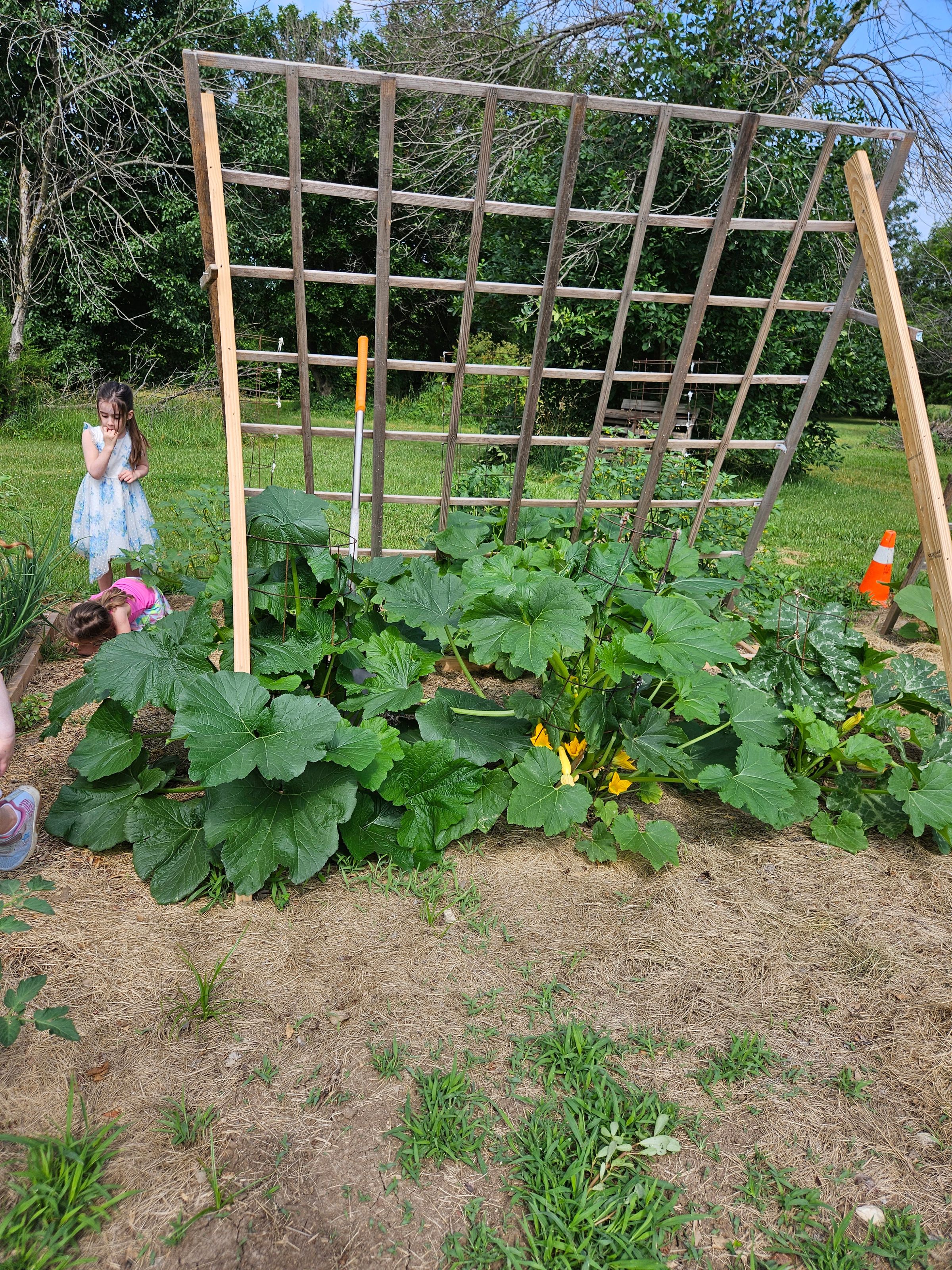 Private Montessori School's image