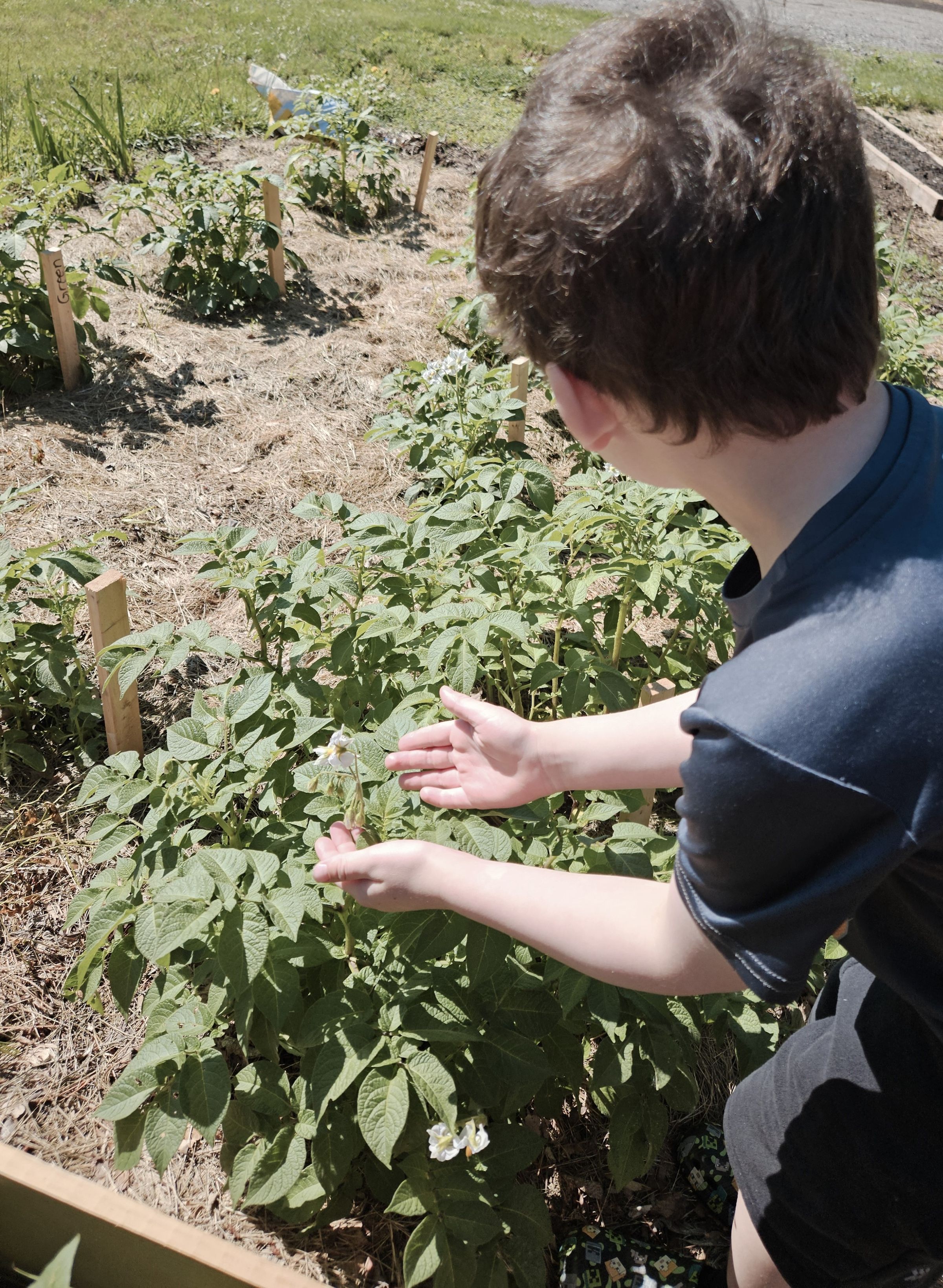 Private Montessori School's image