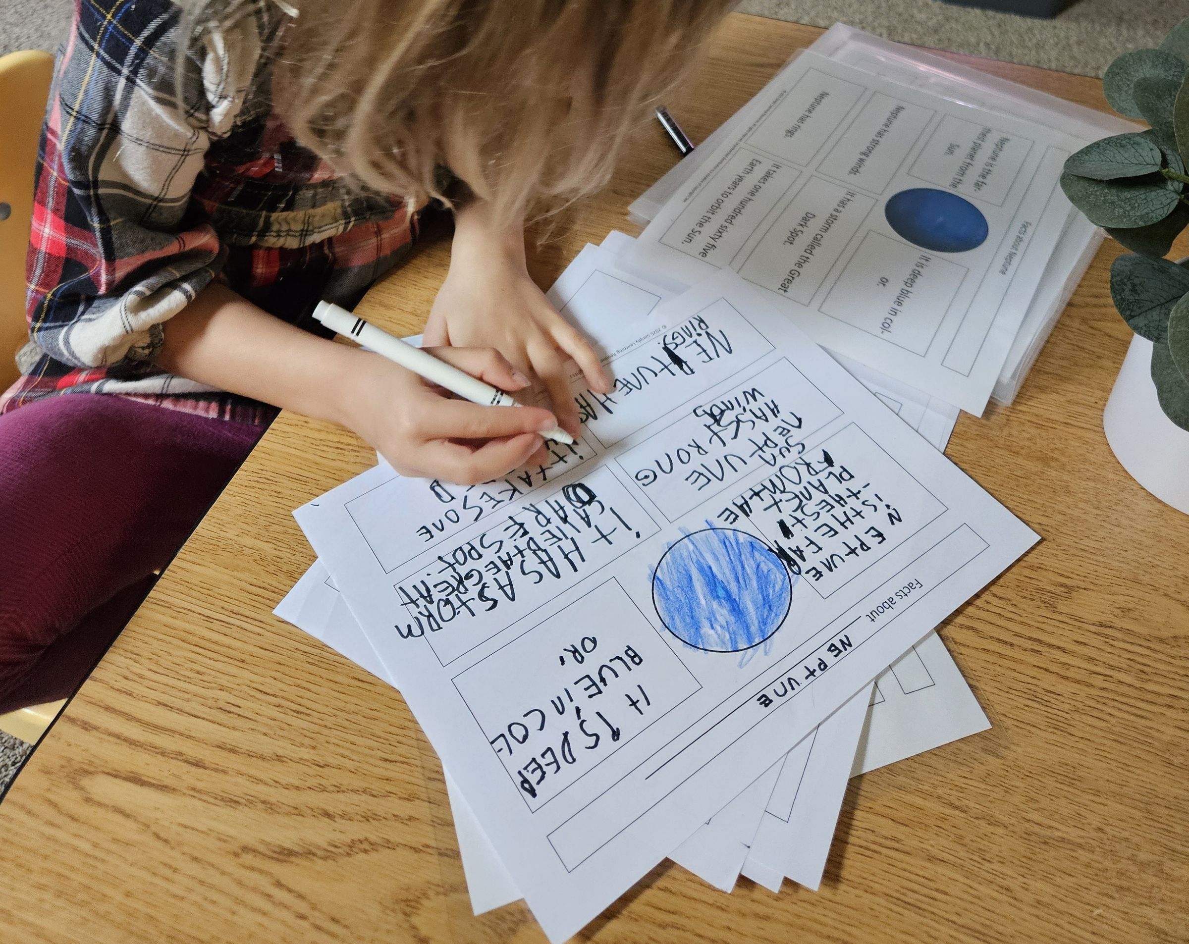 Private Montessori School's image